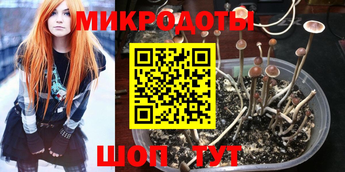 Галлюциногенные грибы Magic Shrooms  где купить наркоту  Крымск  Вход с VPN 